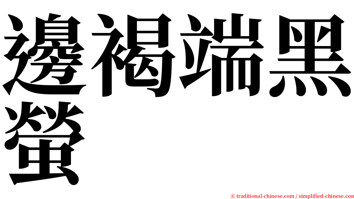 邊褐端黑螢 serif font