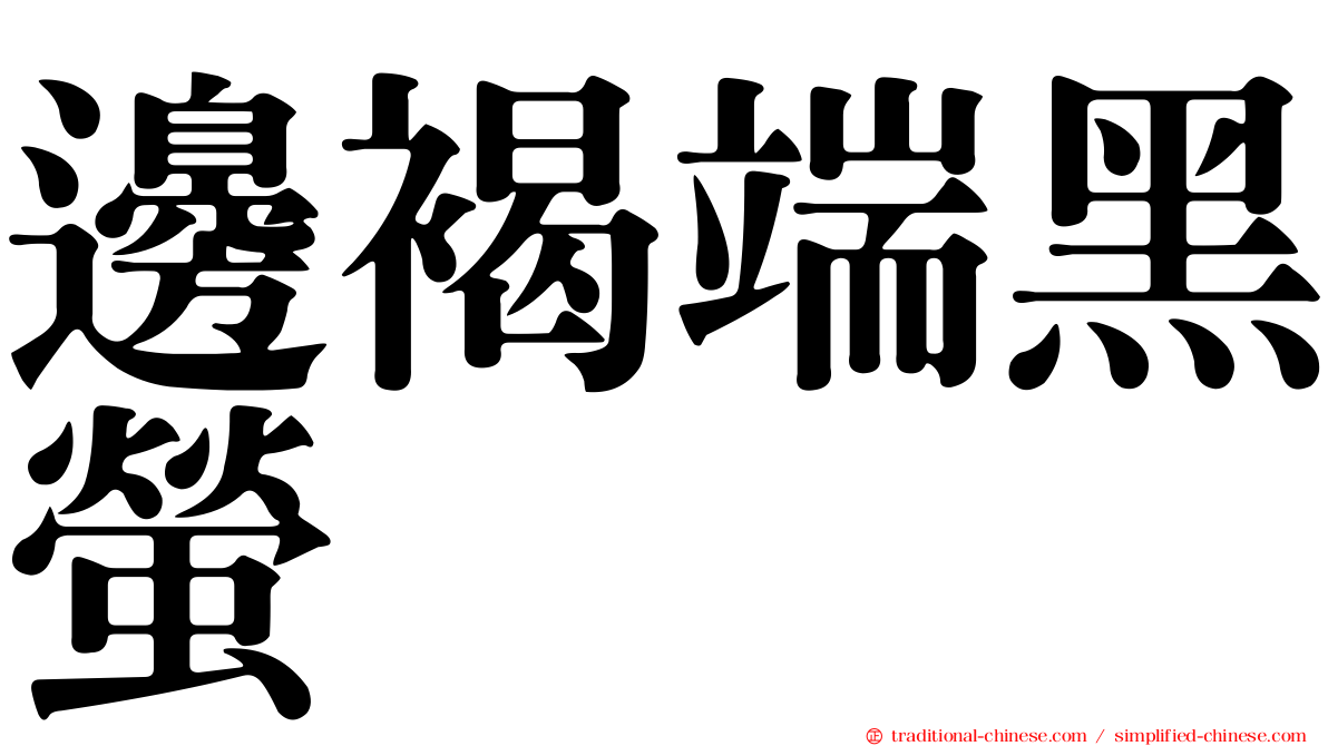 邊褐端黑螢