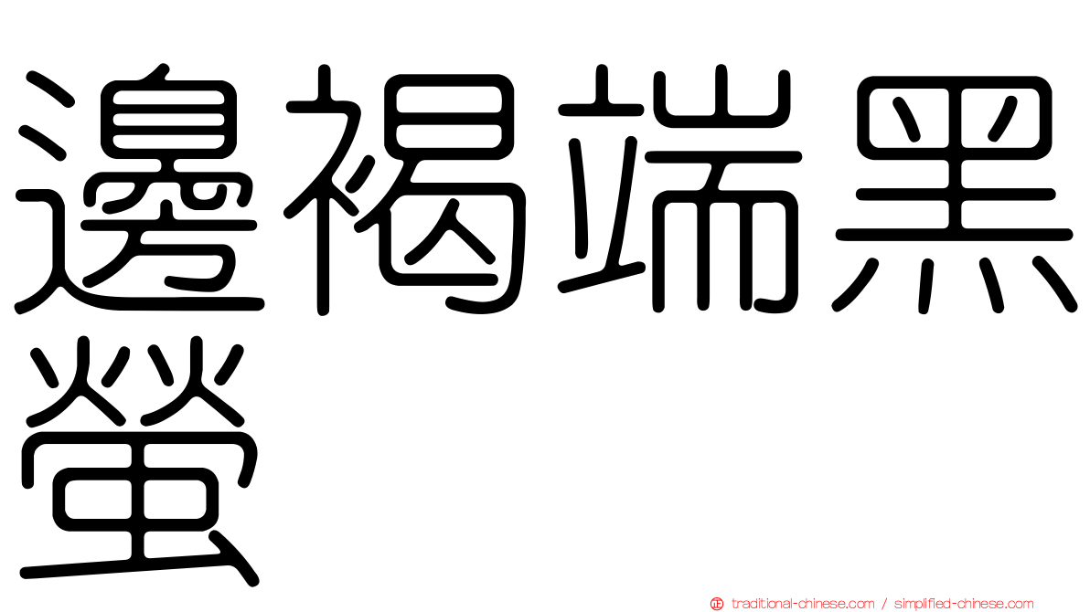 邊褐端黑螢