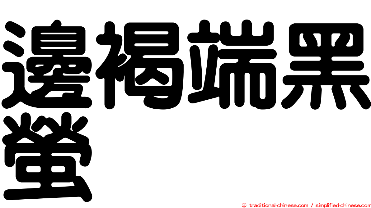 邊褐端黑螢