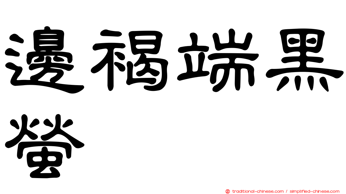 邊褐端黑螢
