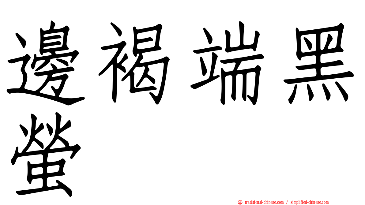 邊褐端黑螢