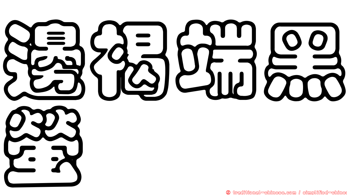 邊褐端黑螢