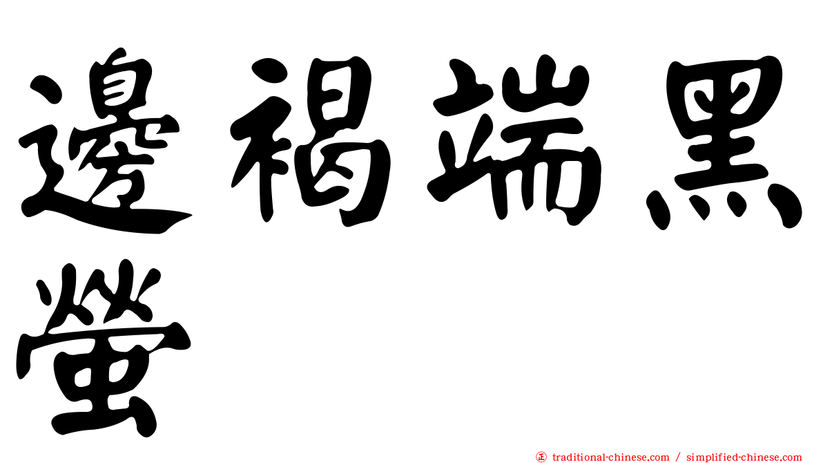 邊褐端黑螢