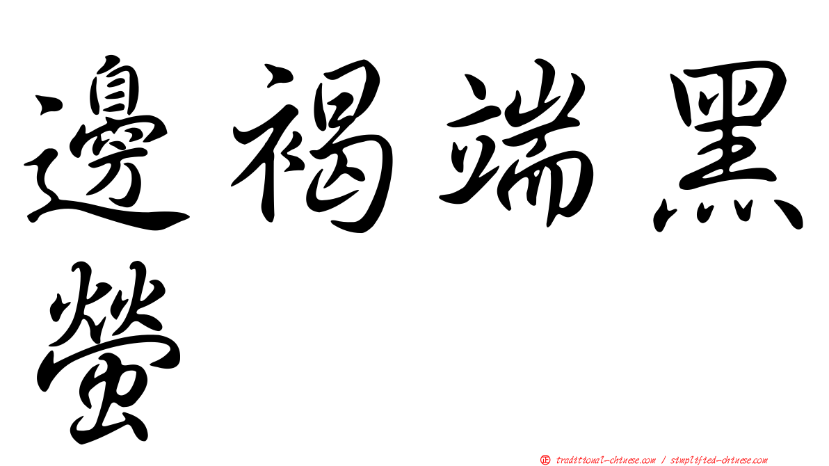 邊褐端黑螢