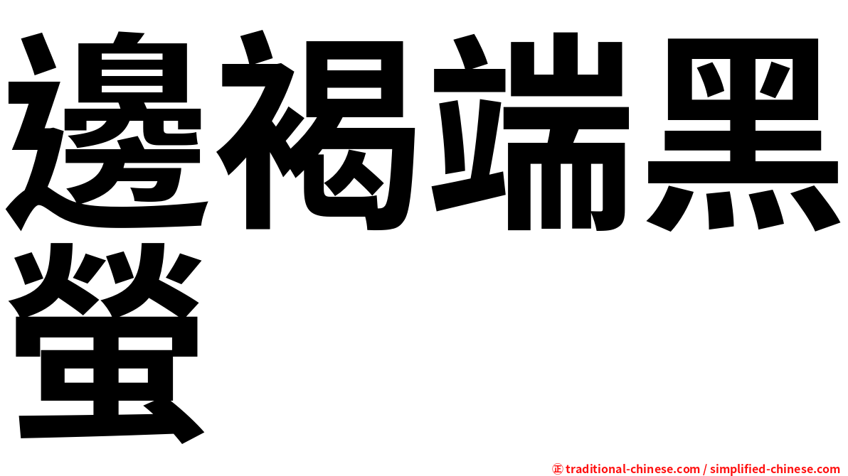 邊褐端黑螢