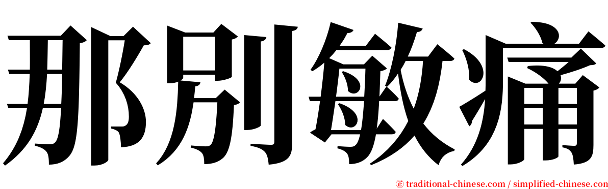 那別敏痛 serif font