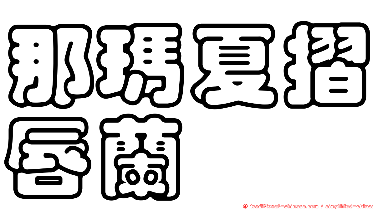 那瑪夏摺唇蘭