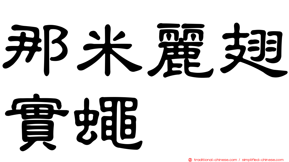 那米麗翅實蠅
