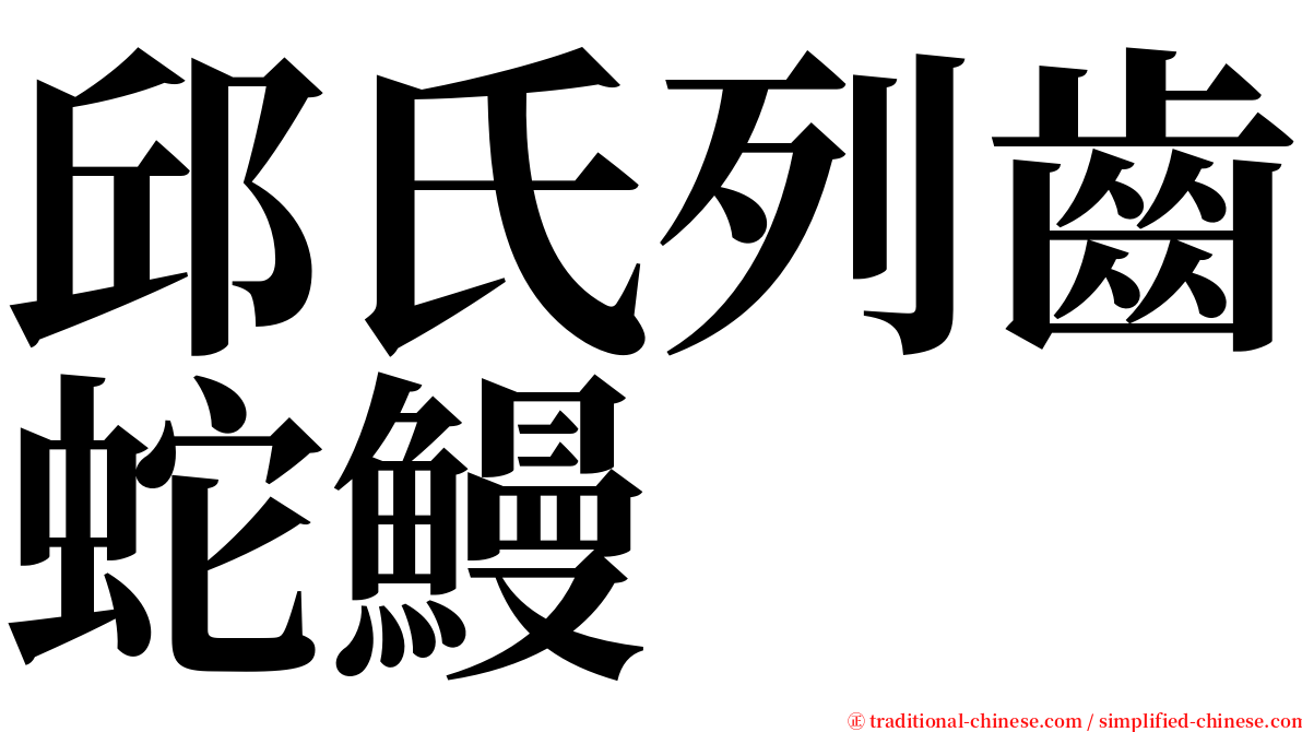 邱氏列齒蛇鰻 serif font