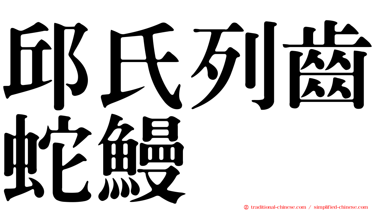 邱氏列齒蛇鰻