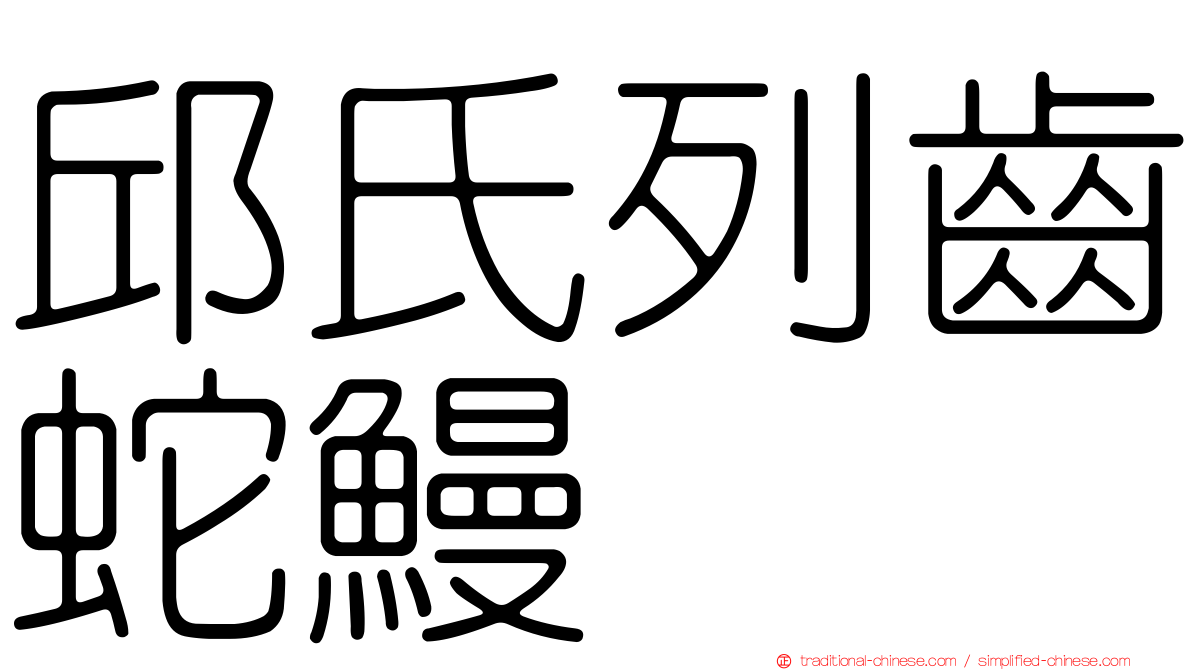 邱氏列齒蛇鰻