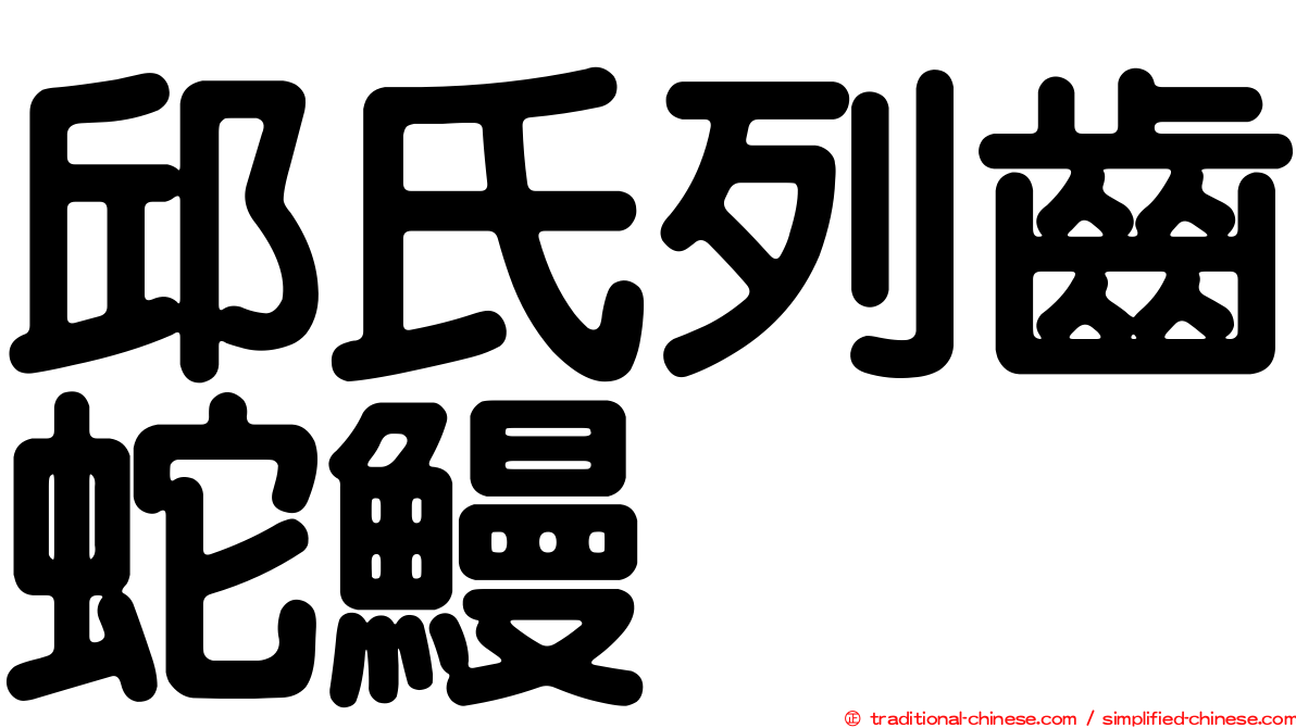 邱氏列齒蛇鰻