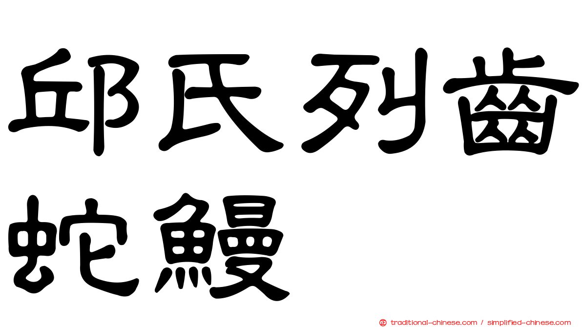 邱氏列齒蛇鰻