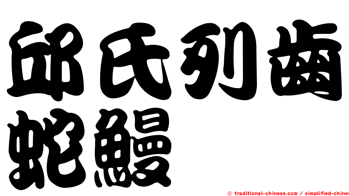 邱氏列齒蛇鰻