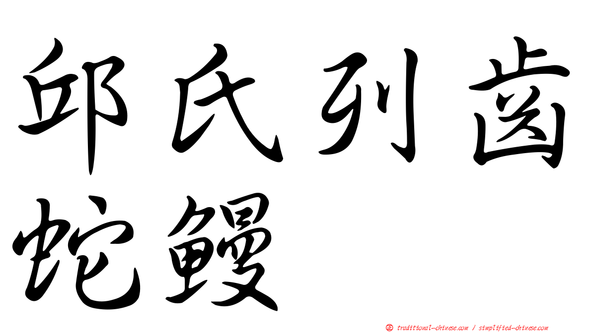 邱氏列齒蛇鰻