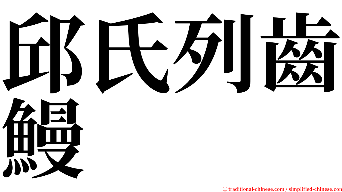 邱氏列齒鰻 serif font