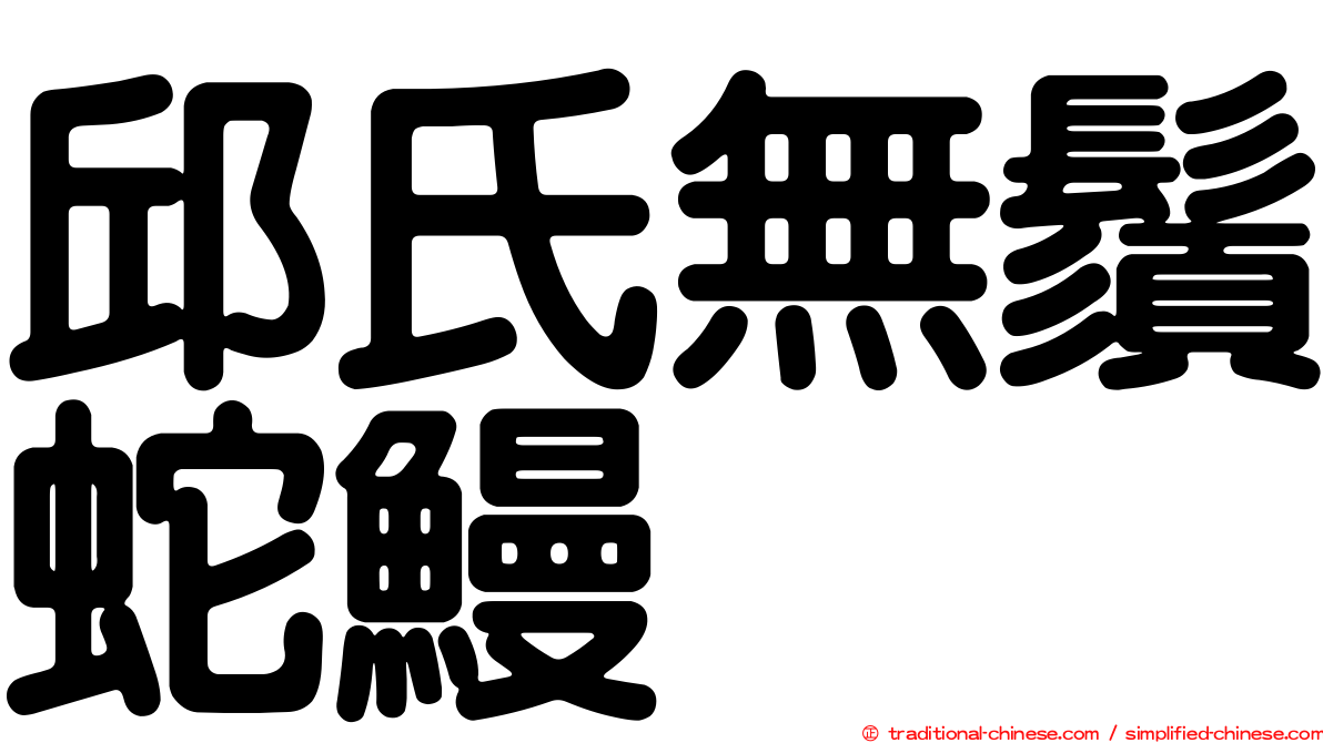 邱氏無鬚蛇鰻