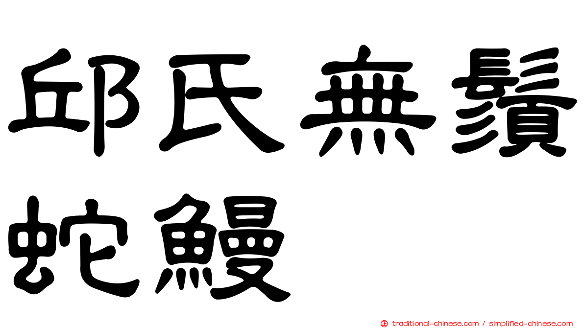 邱氏無鬚蛇鰻