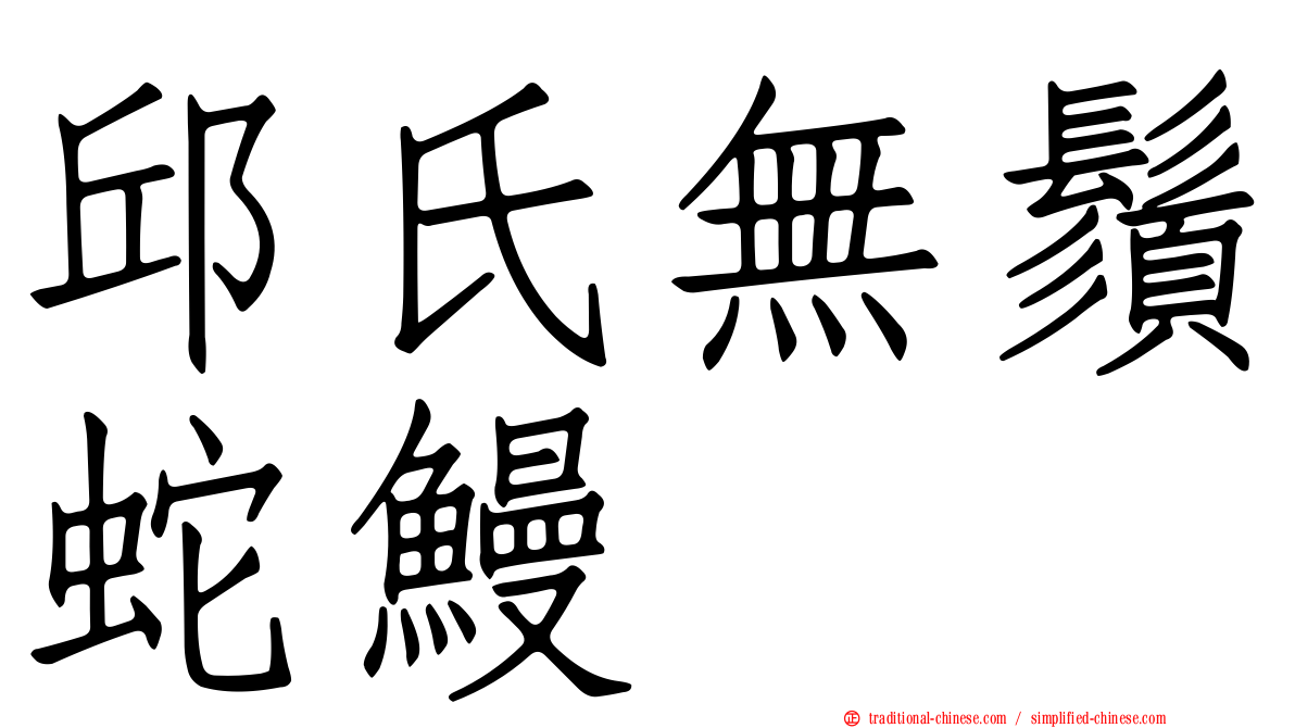 邱氏無鬚蛇鰻