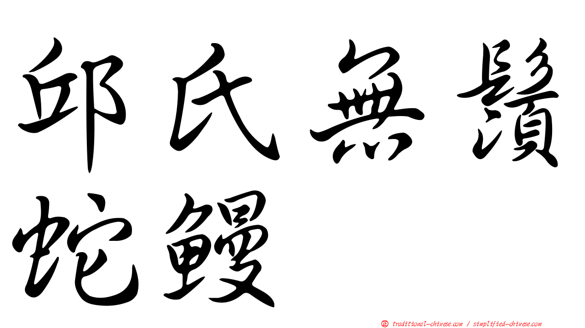 邱氏無鬚蛇鰻