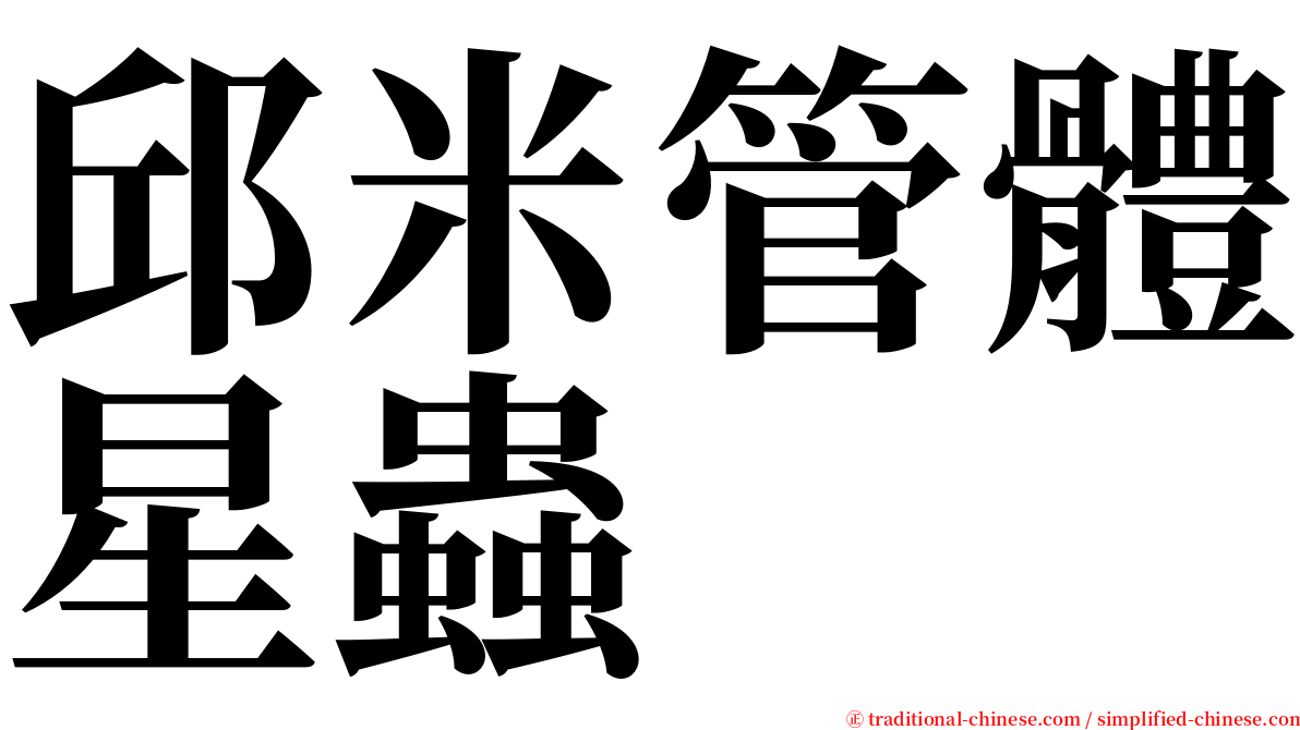 邱米管體星蟲 serif font