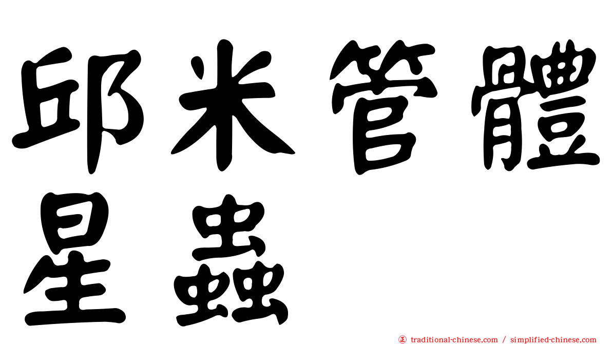邱米管體星蟲