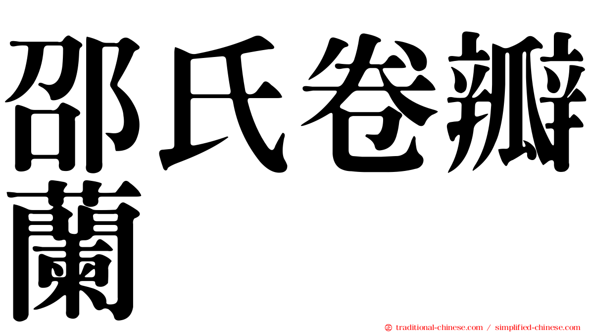 邵氏卷瓣蘭
