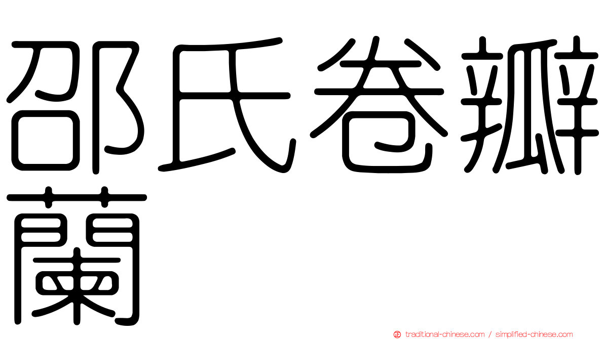 邵氏卷瓣蘭