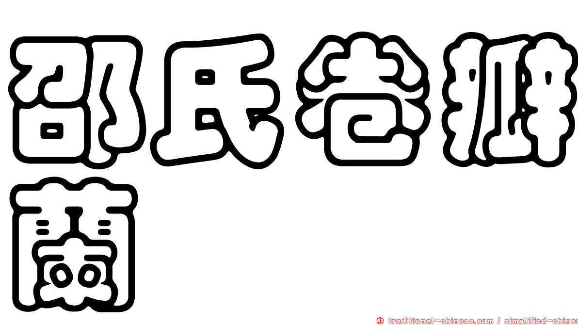 邵氏卷瓣蘭