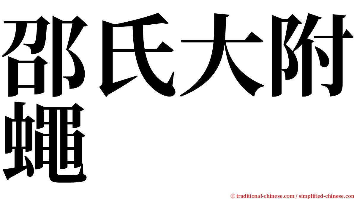 邵氏大附蠅 serif font