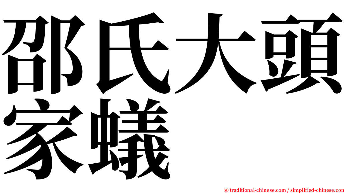 邵氏大頭家蟻 serif font