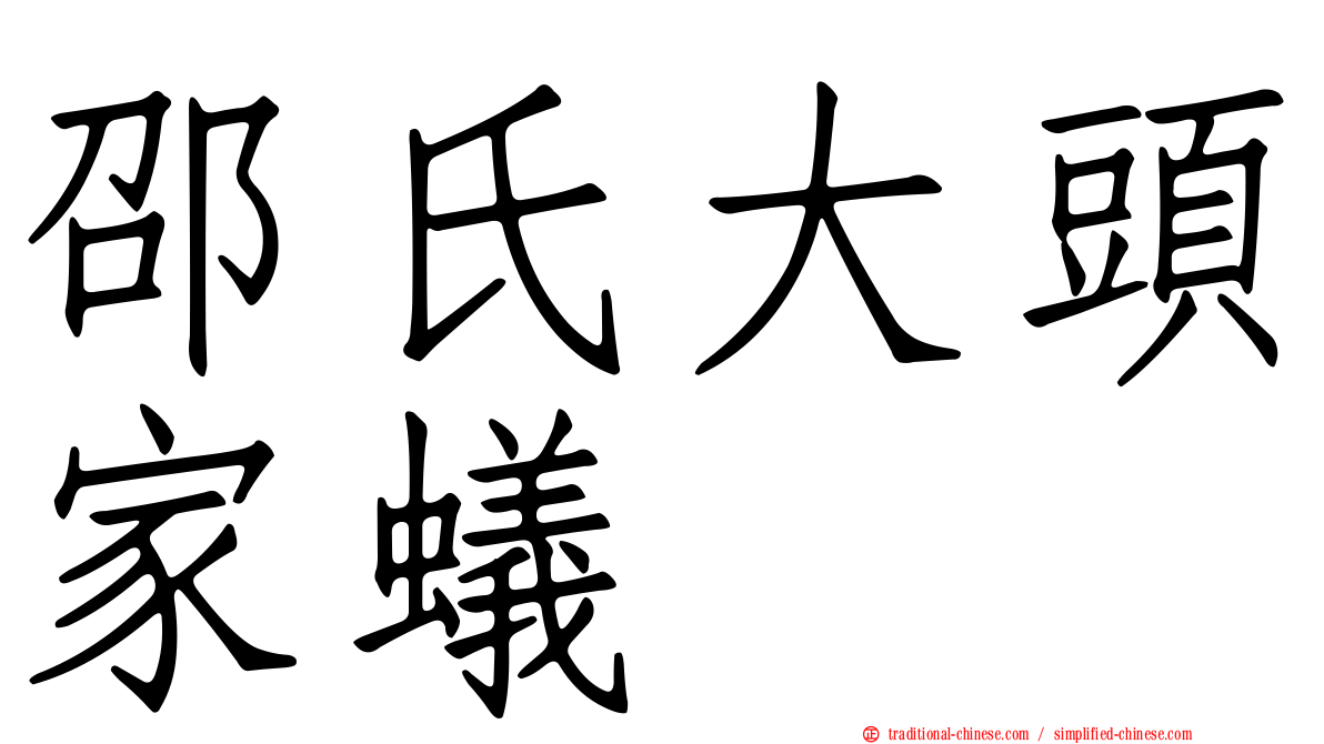 邵氏大頭家蟻