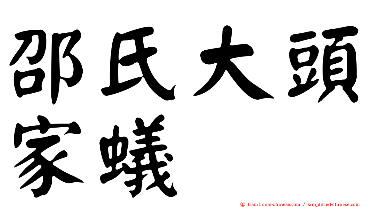 邵氏大頭家蟻