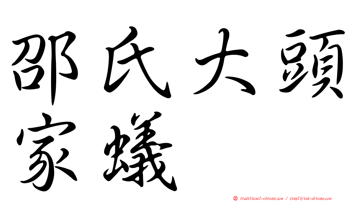 邵氏大頭家蟻