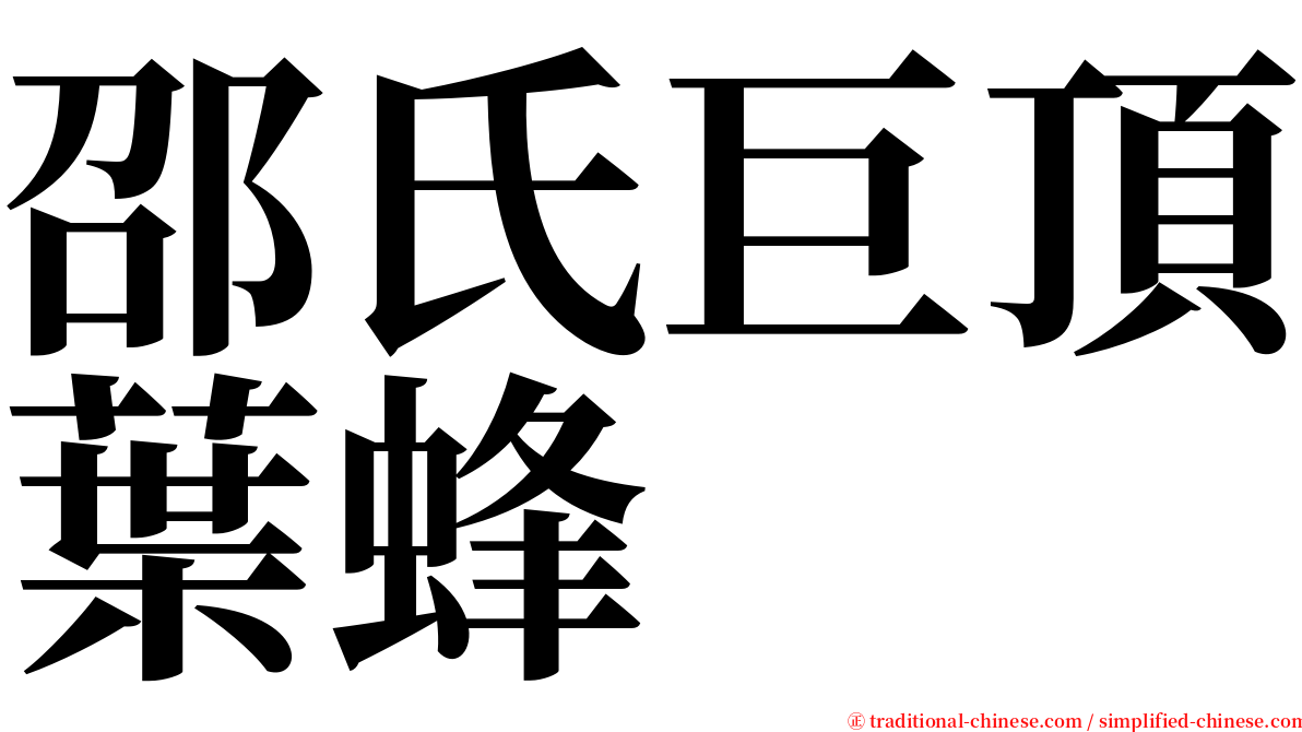 邵氏巨頂葉蜂 serif font