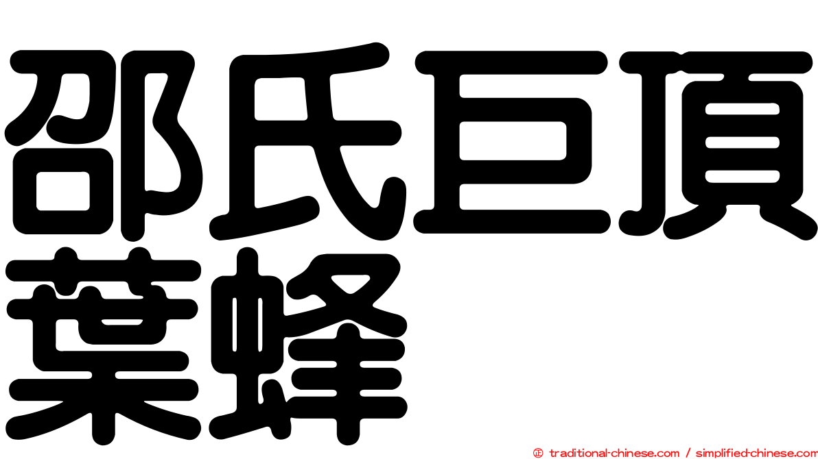 邵氏巨頂葉蜂