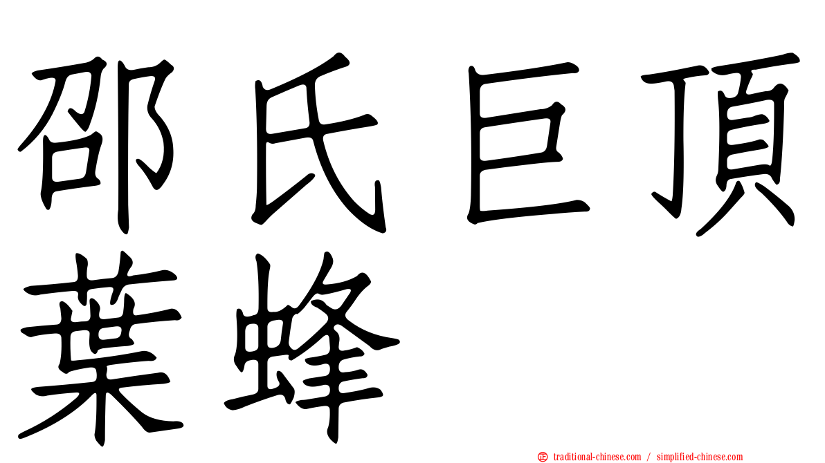 邵氏巨頂葉蜂