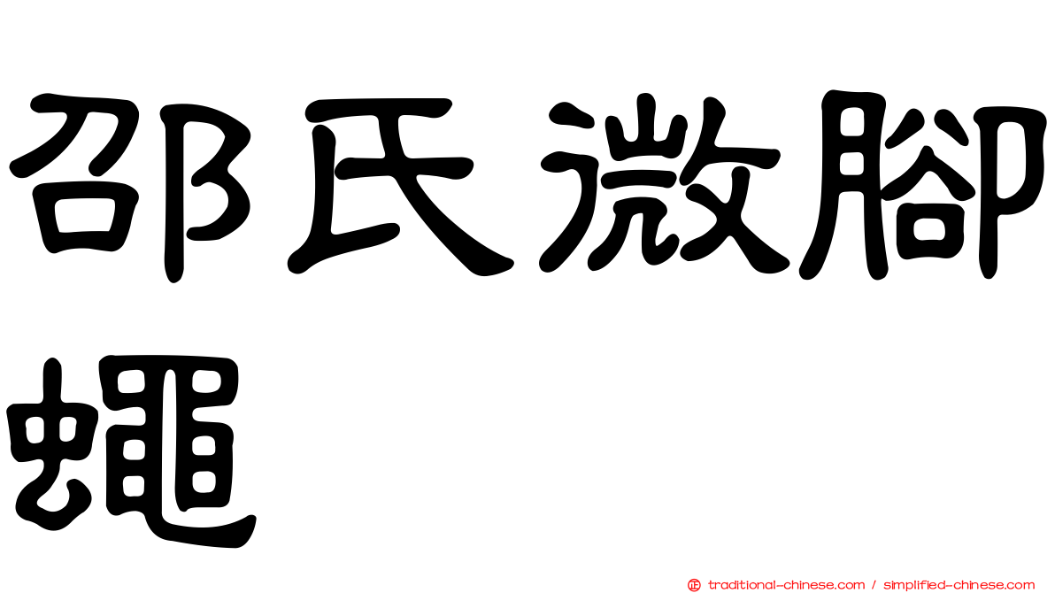 邵氏微腳蠅