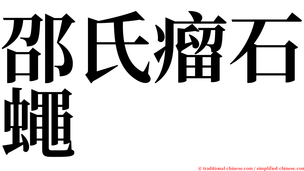 邵氏瘤石蠅 serif font