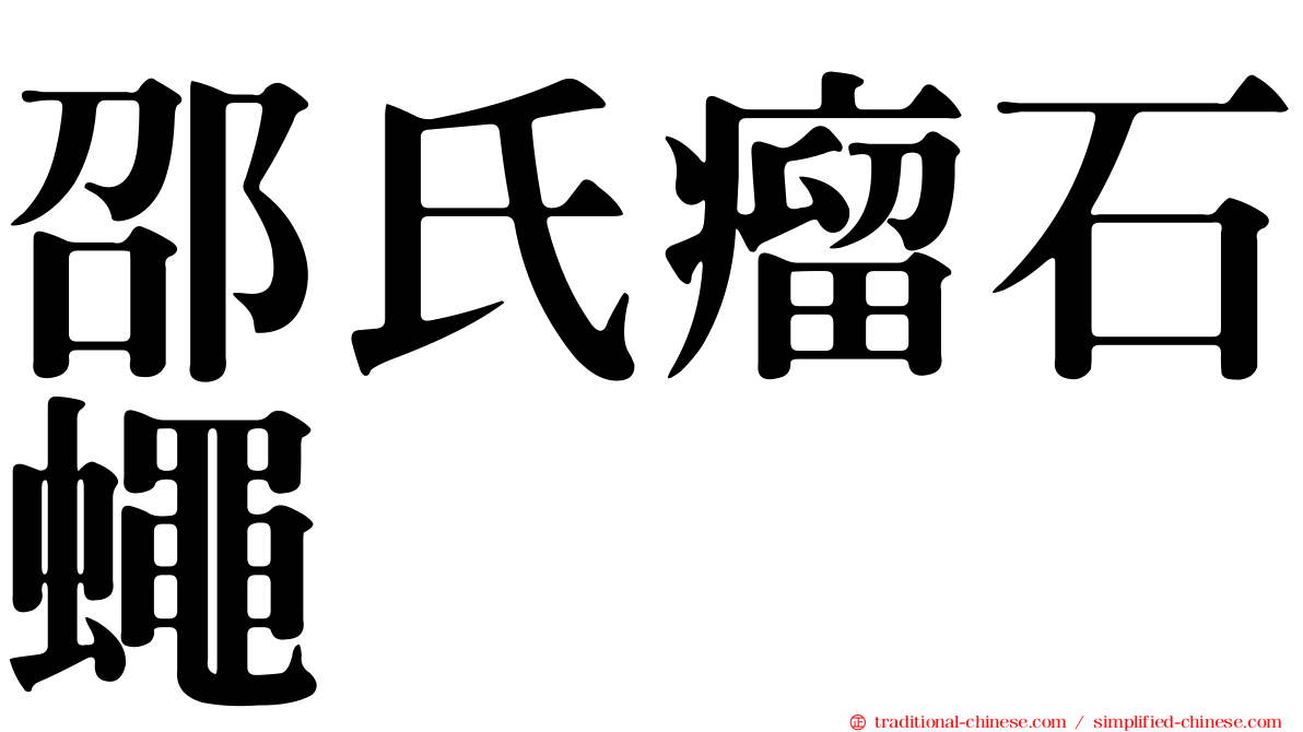 邵氏瘤石蠅