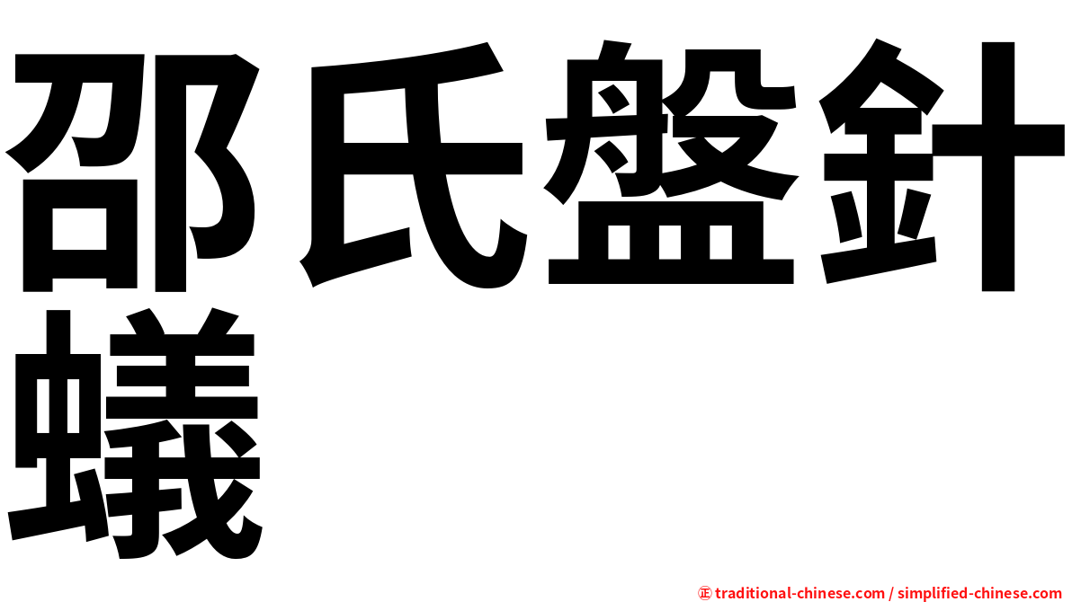 邵氏盤針蟻