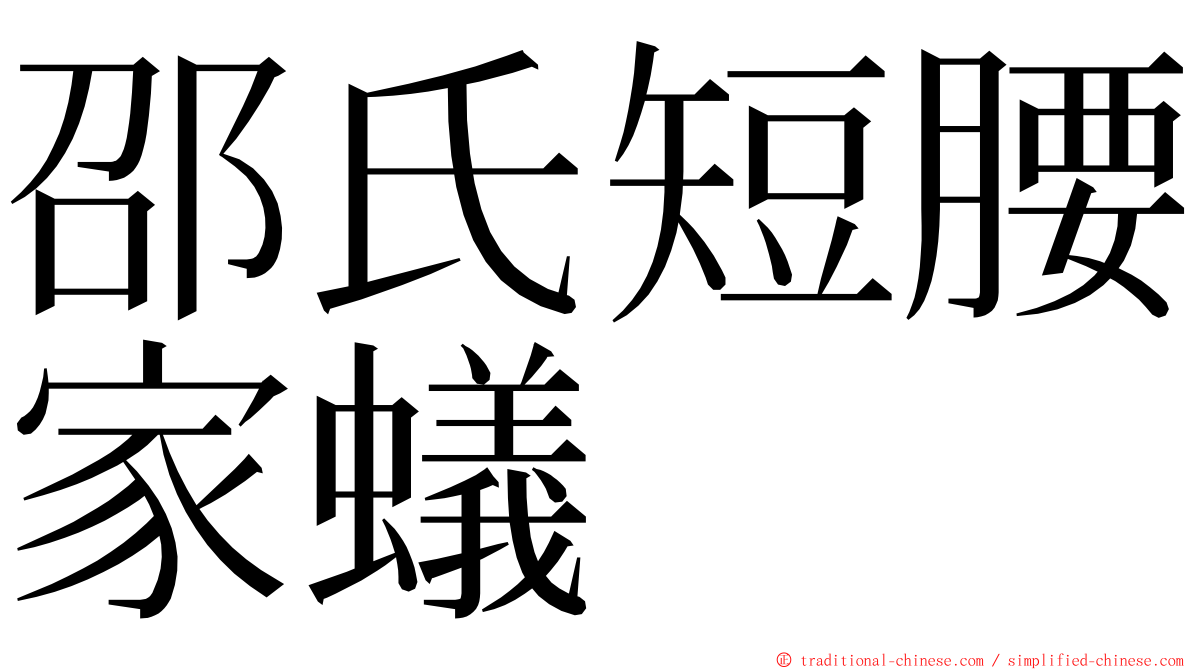 邵氏短腰家蟻 ming font