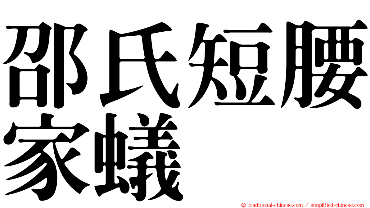 邵氏短腰家蟻
