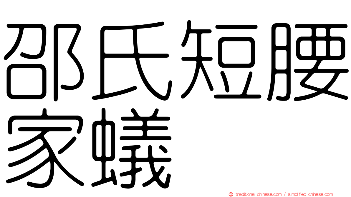 邵氏短腰家蟻