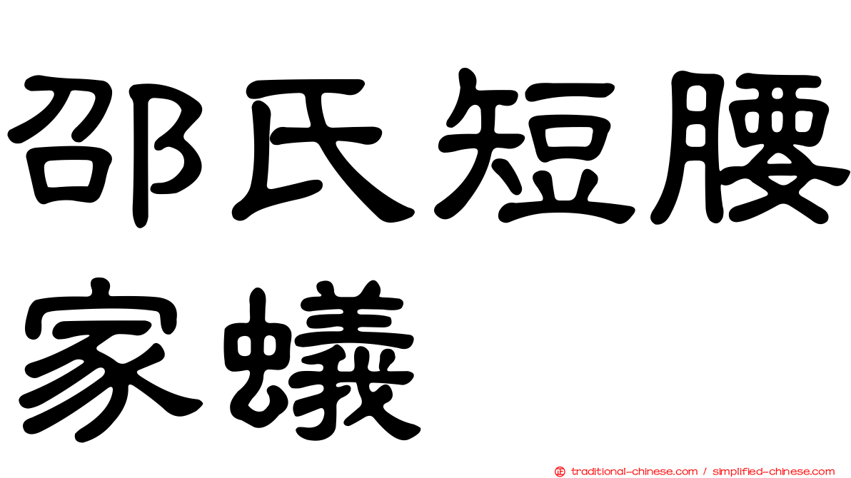 邵氏短腰家蟻