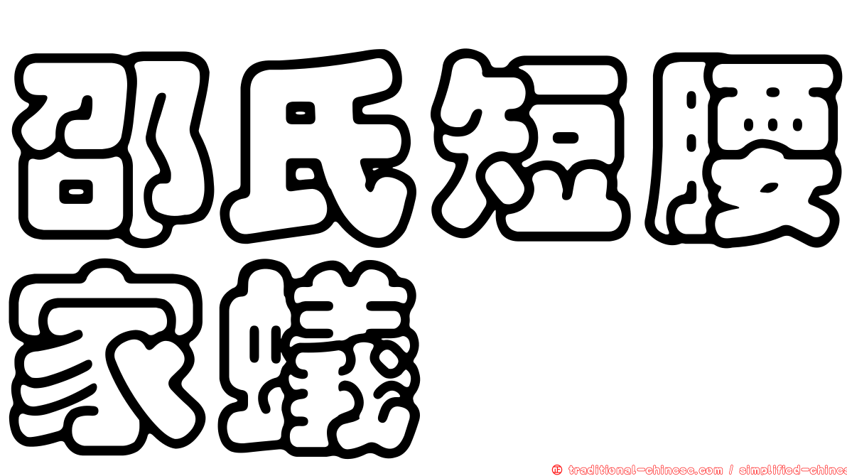 邵氏短腰家蟻