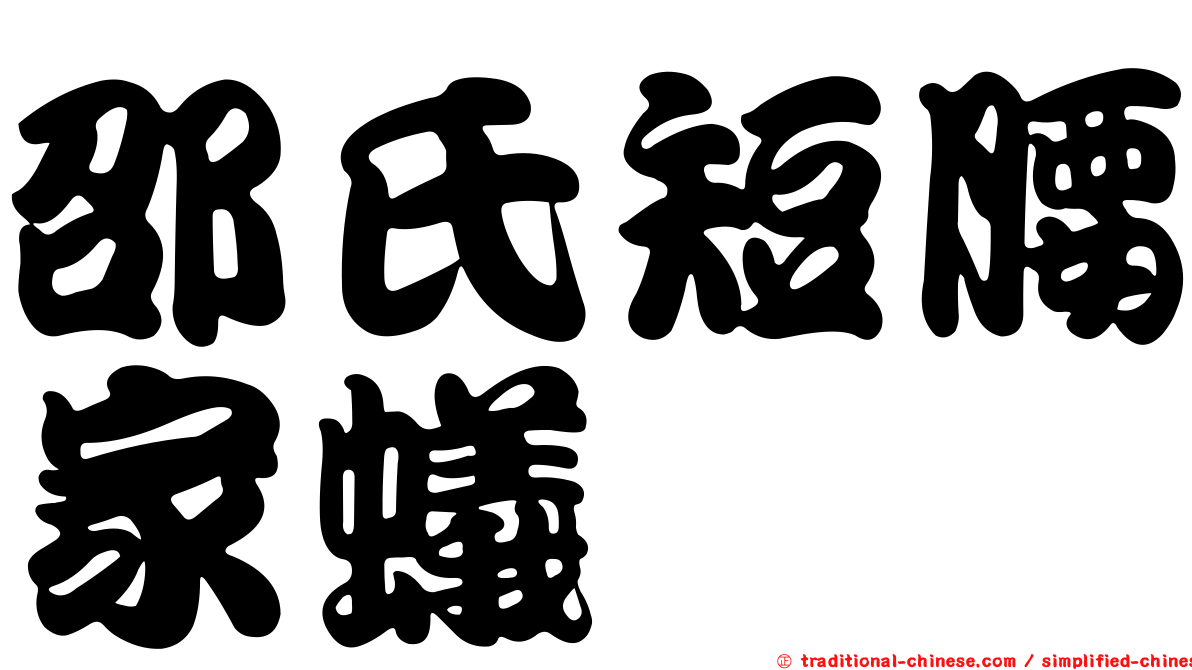 邵氏短腰家蟻