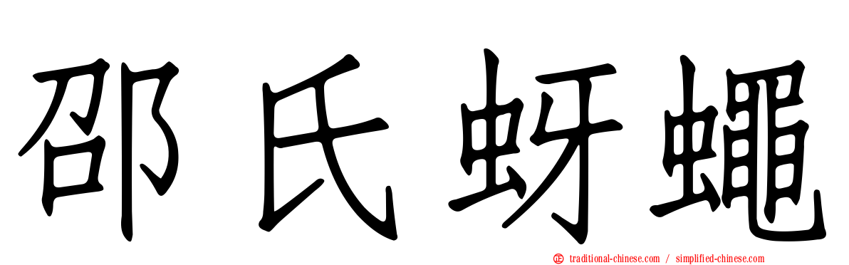 邵氏蚜蠅