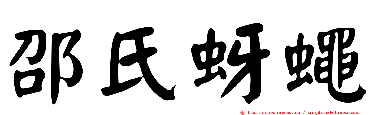 邵氏蚜蠅